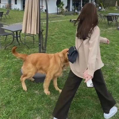 暴走恐怖故事第六季